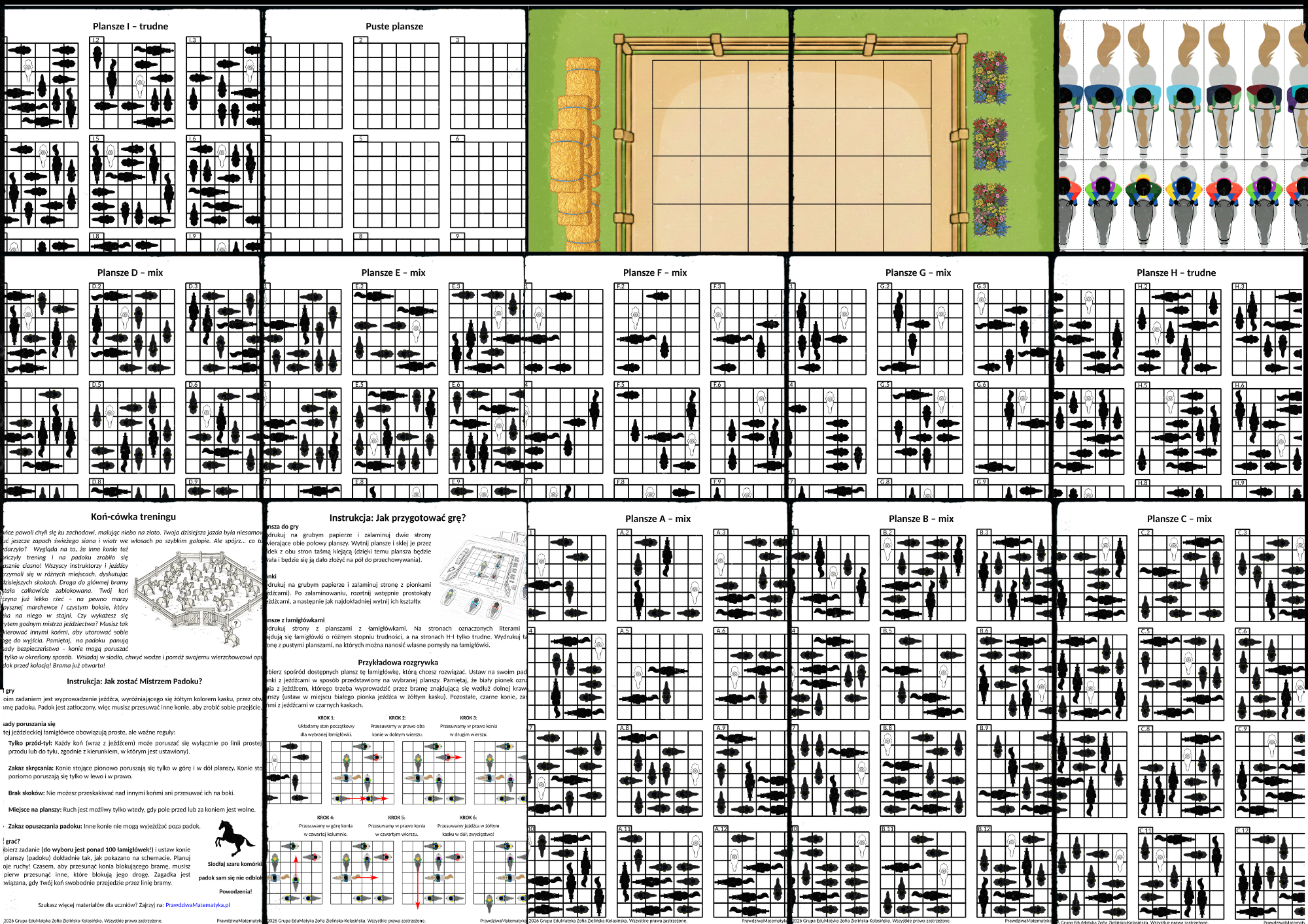 Koń-cówka treningu (łamigłówka) - obrazek 5